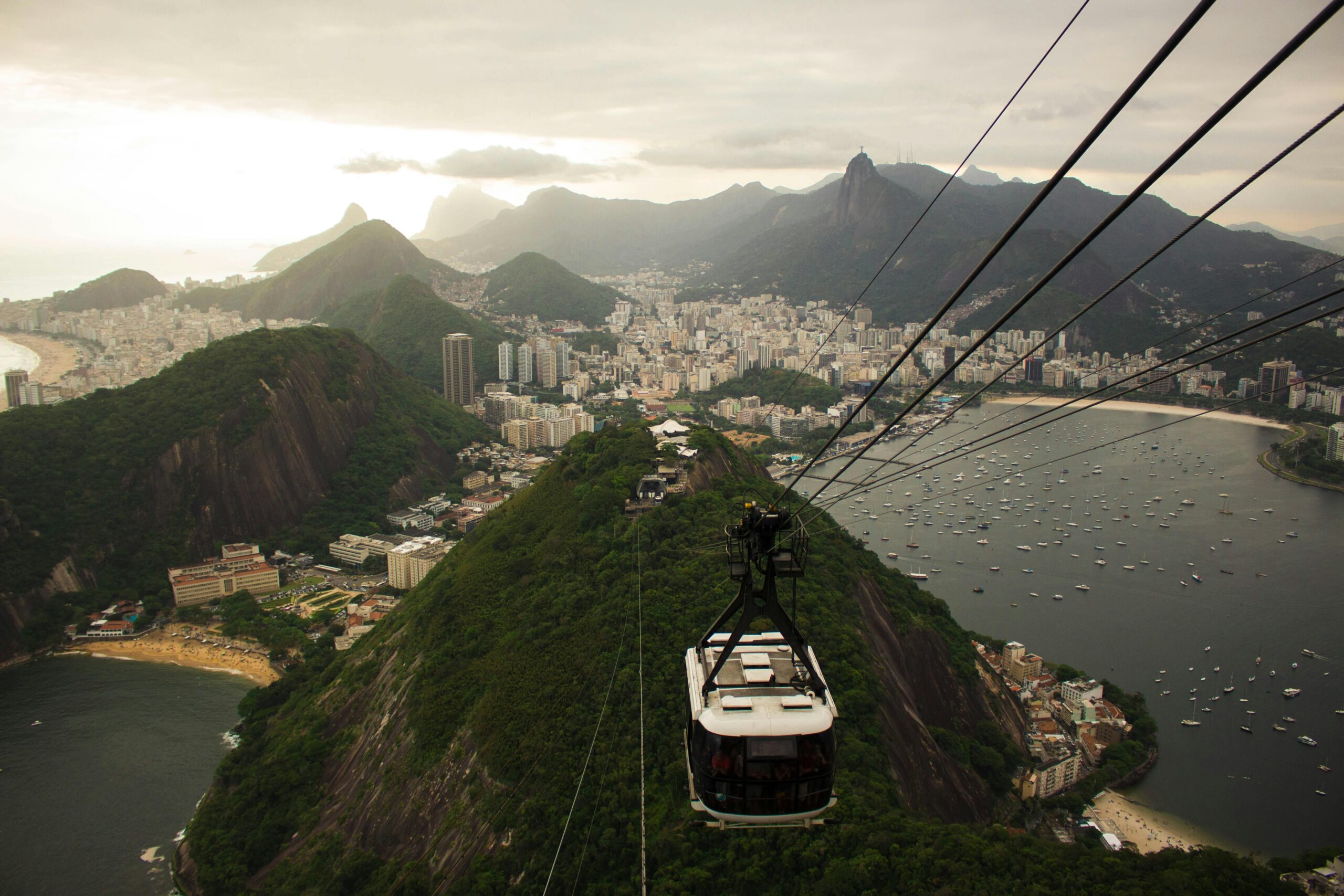 pexels-aline-cardoso-1493182-2876407